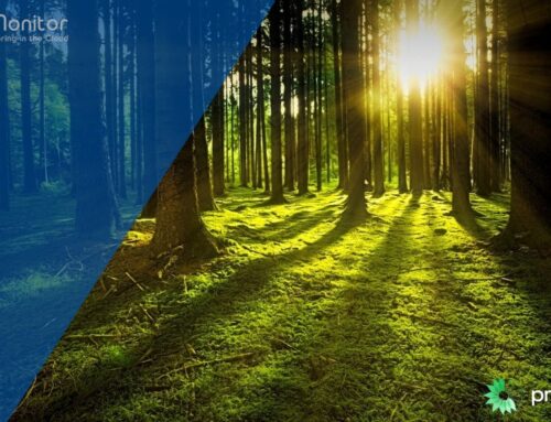 De las páginas a los bosques: cómo MPS Monitor se integra con PrintReleaf para impulsar la sostenibilidad medible